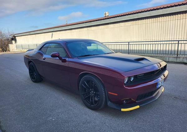 Dodge Challenger cena 189000 przebieg: 52500, rok produkcji 2020 z Łomża małe 781